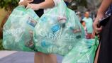 Garnier acopió 6,520 libras de plástico tipo 1 y 2