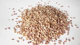 Descubre las 5 propiedades de las semillas de sésamo