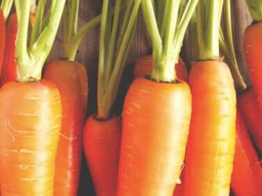 Prepare este dip en forma de zanahoria