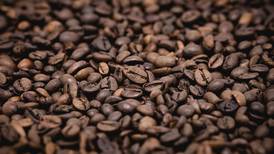Científicos explican cómo afecta la cafeína el cuerpo humano 