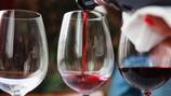 Degustación con los 100 mejores vinos de Méndez & Co. por una causa
