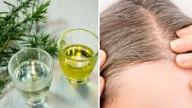 Cómo hacer aceite de romero casero para hacer crecer el pelo: 3 formas de uso