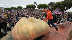 Calabaza gigante gana concurso en California y establece nuevo récord