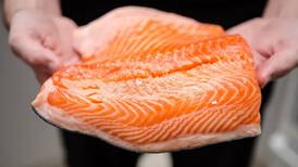 Consumo de salmón brinda salud ósea