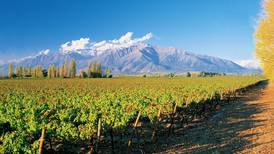 5 datos del terroir donde se originan los vinos chilenos más famosos del mundo
