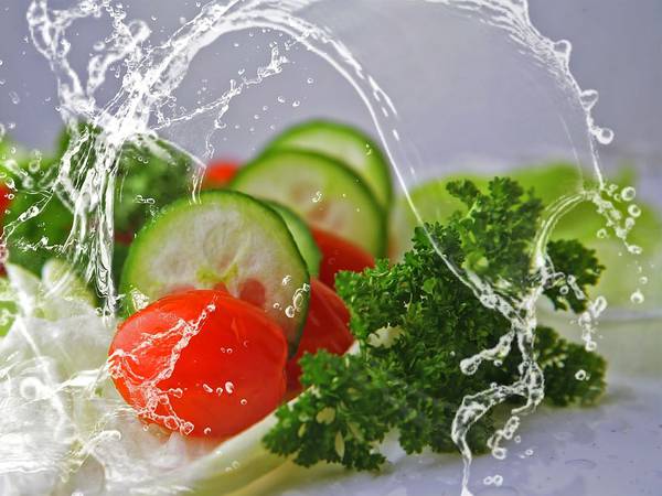 Cinco verduras saludables que debes de consumir