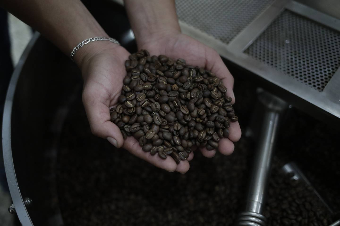 Cultivo de café en una finca del municipio de Arbeláez, Cundinamarca