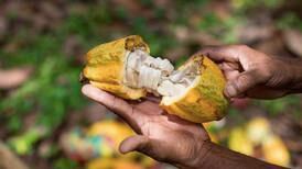 Puerto Rico vuelve a clasificar entre las mejores 50 muestras de cacao del mundo