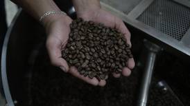 ¿Cuánto costará el café en la góndola tras el aumento?