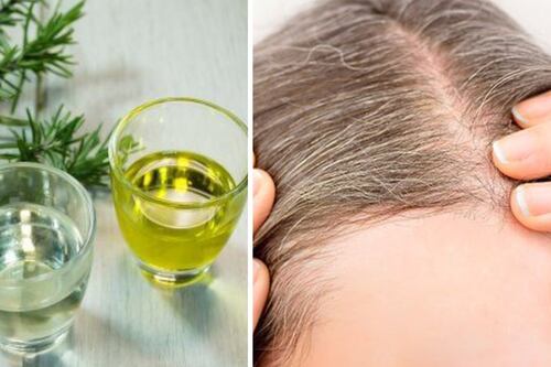 Cómo hacer aceite de romero casero para hacer crecer el pelo: 3 formas de uso