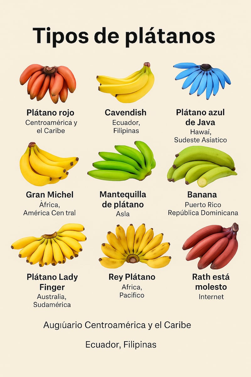 Ilustración IA