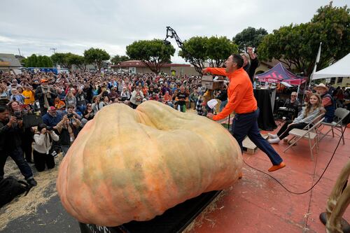 Calabaza gigante gana concurso en California y establece nuevo récord