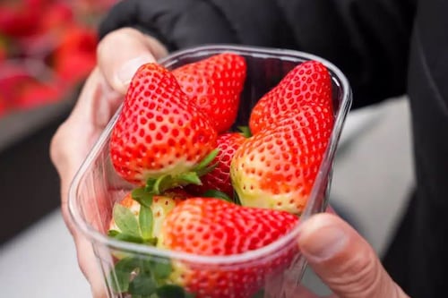 Mira cómo reacciona tu organismo cuando comes fresas todos los días