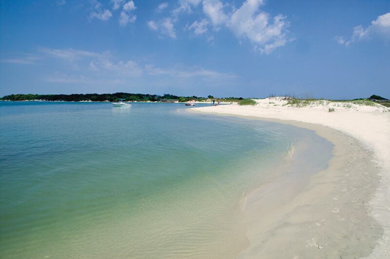 https://www.floridashistoriccoast.com/viaja-staugustine/