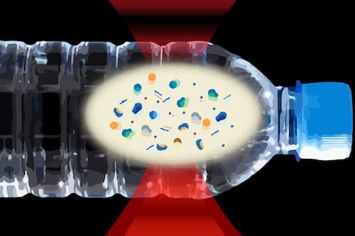 El agua embotellada contiene miles de nanoplásticos peligrosos