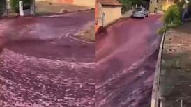 Video: Vino tinto inunda calles de Portugal